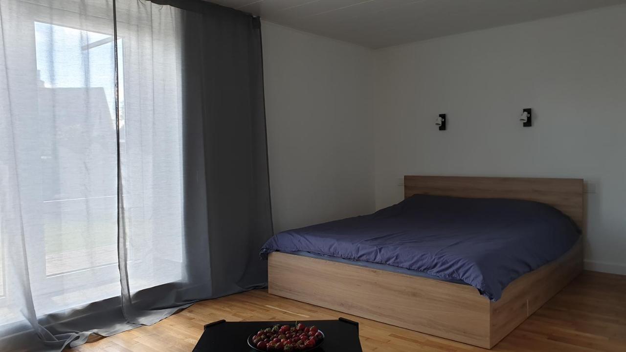 Appartement Muziejaus 10 Studija à Anykščiai Extérieur photo